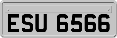ESU6566