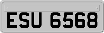 ESU6568