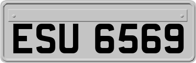 ESU6569
