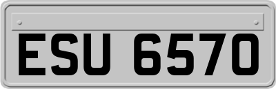 ESU6570