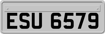 ESU6579
