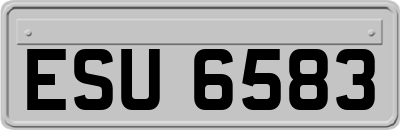 ESU6583