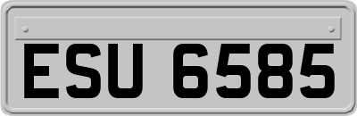 ESU6585
