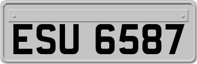 ESU6587