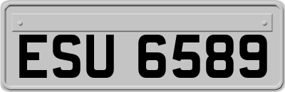 ESU6589
