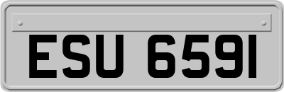 ESU6591