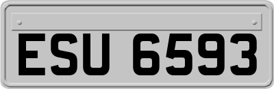 ESU6593