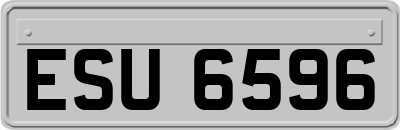 ESU6596