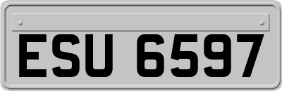 ESU6597