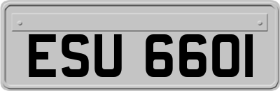 ESU6601