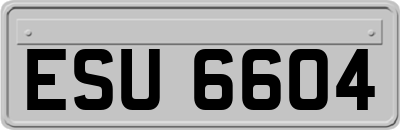 ESU6604