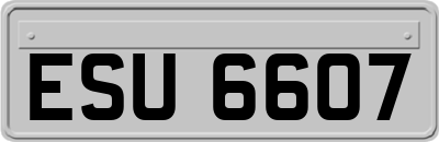 ESU6607