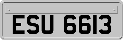ESU6613
