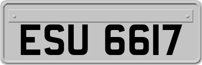 ESU6617