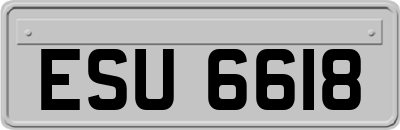 ESU6618