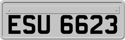 ESU6623
