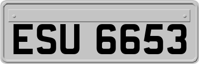 ESU6653