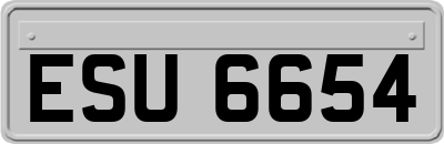 ESU6654
