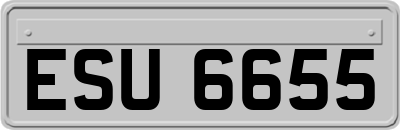 ESU6655