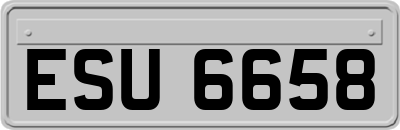 ESU6658