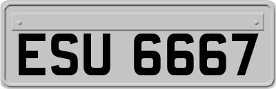 ESU6667