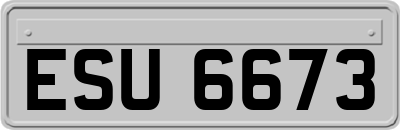 ESU6673