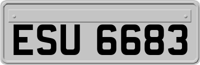ESU6683
