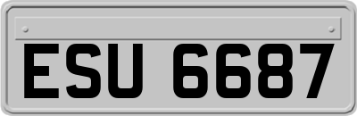 ESU6687