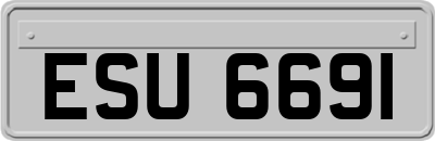 ESU6691