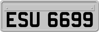 ESU6699