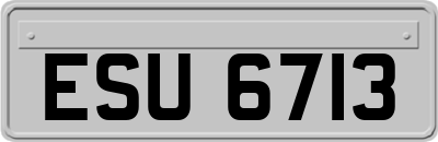 ESU6713