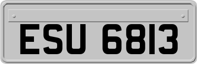 ESU6813