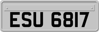 ESU6817