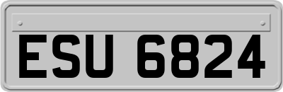 ESU6824