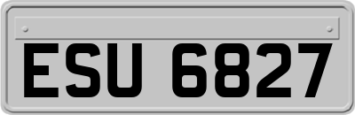 ESU6827