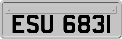 ESU6831