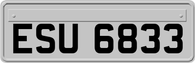 ESU6833
