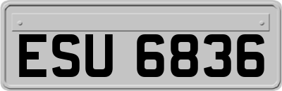 ESU6836