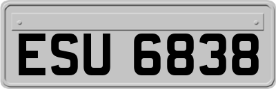 ESU6838