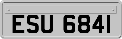 ESU6841