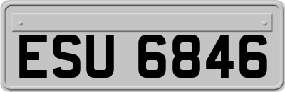 ESU6846