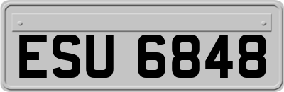 ESU6848