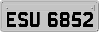 ESU6852