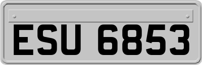 ESU6853