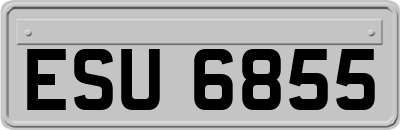 ESU6855