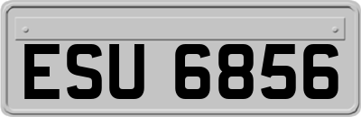 ESU6856