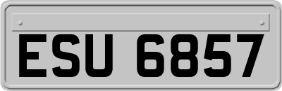ESU6857