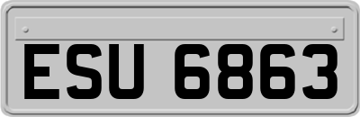 ESU6863