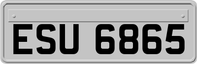 ESU6865