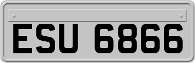 ESU6866